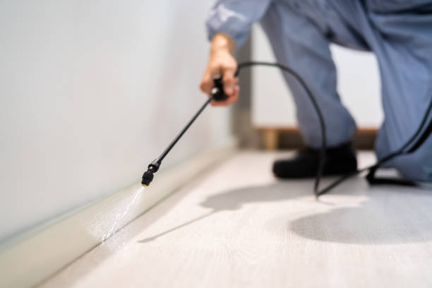 Licensed Termite Control service in New Hanover County County, NC - Nex Pest Control