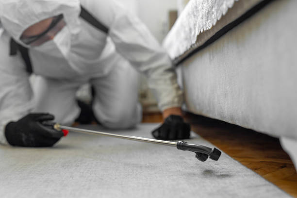 Professional Termite Control technician working in New Hanover County County, NC